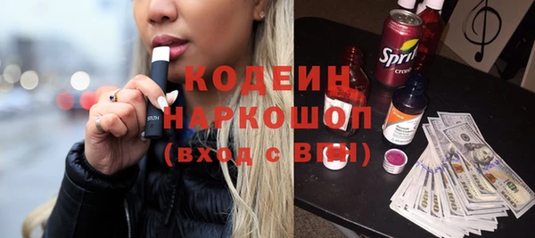 гашик Алексин