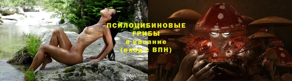 ешки Алзамай