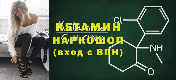 гашик Алексин
