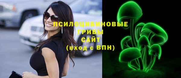 гашик Алексин