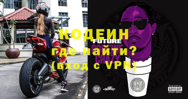 гашик Алексин