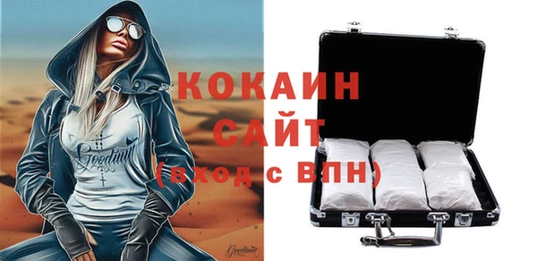 гашик Алексин